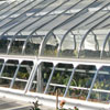 Green House Photo